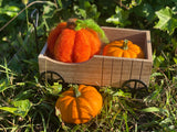 Pumpkin Felting Class
