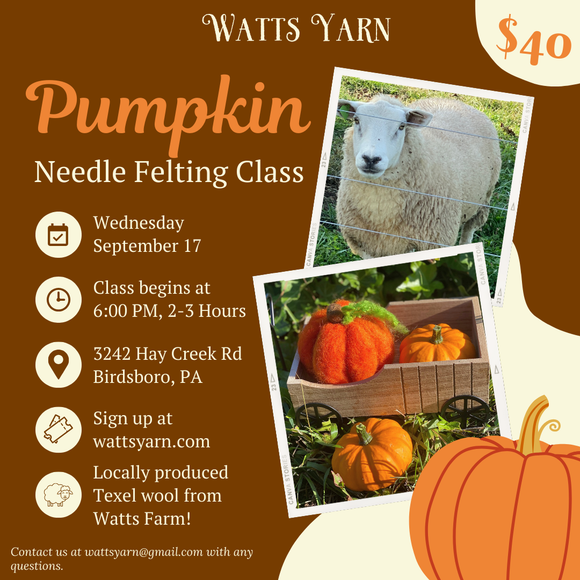 Pumpkin Felting Class